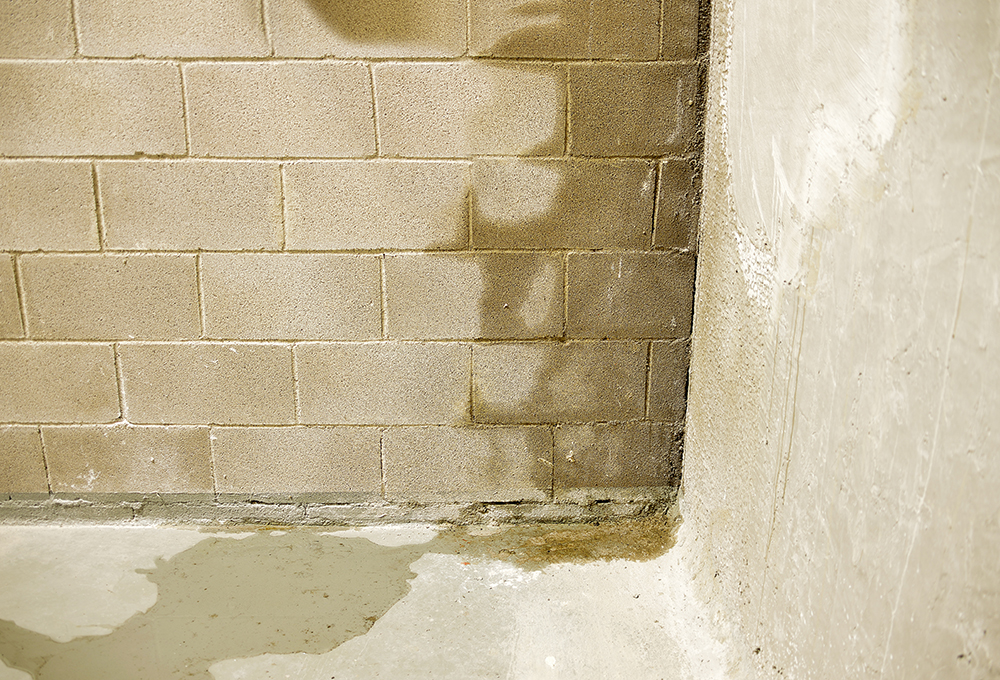 Basement Condensation Inspections in Metro Detroit & SE Michigan - AdobeStock_232461600