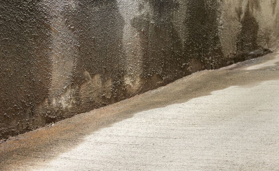 Damp Basement and Your Health